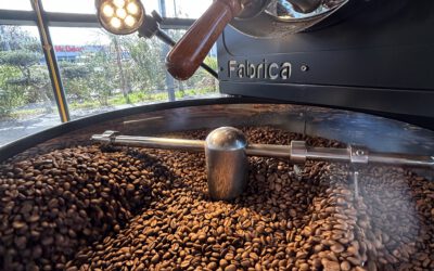 Quelle est la différence entre la torréfaction artisanale et industrielle ?