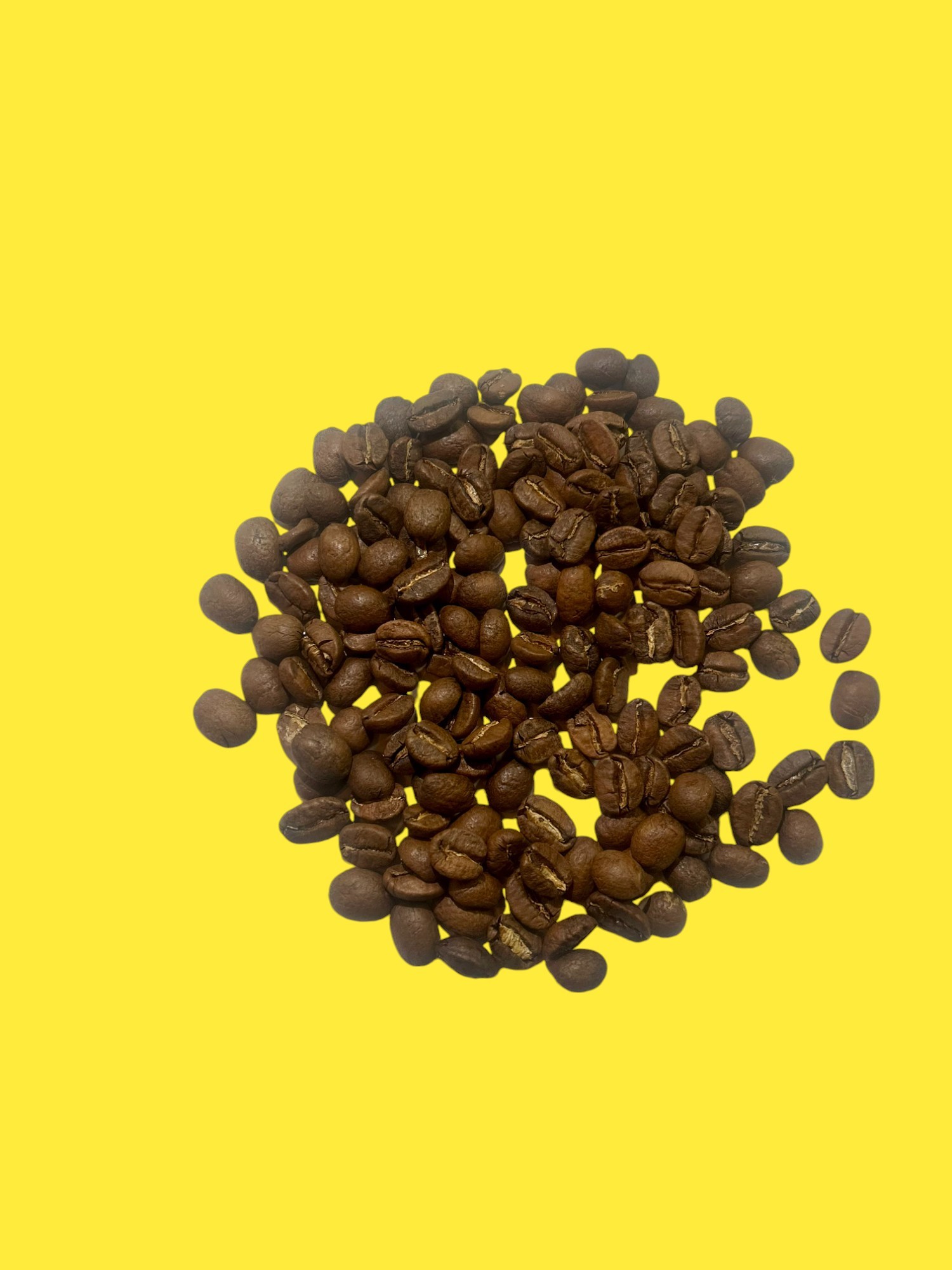 MEXIQUE EL JAGUAR 100% ARABICA – Image 2