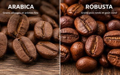 Arabica ou Robusta : Quelle différence